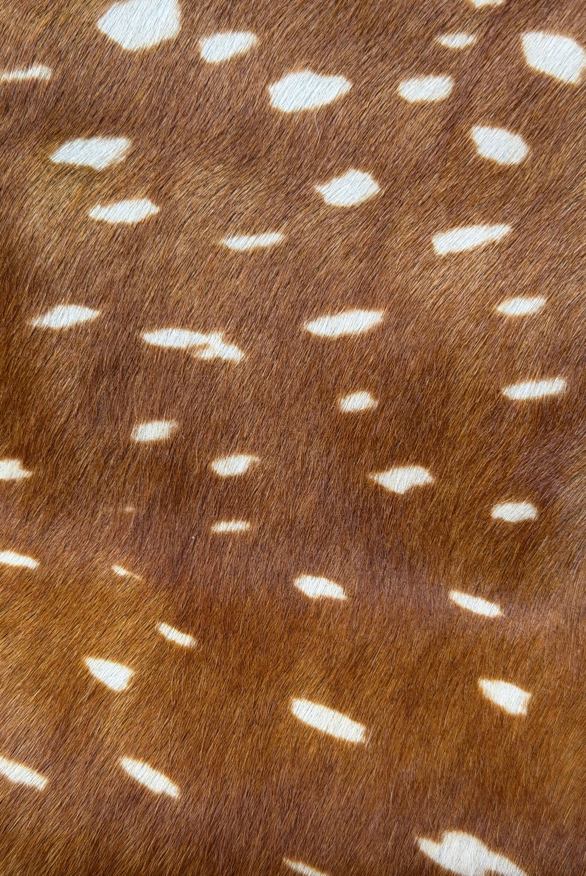 Lea Bag Bambi Pony in pelle Amimi Milano
