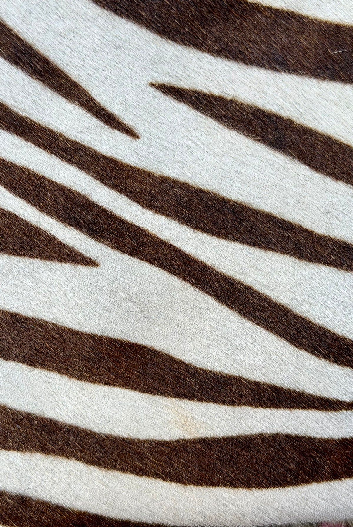 Lea Bag Brown Zebra Pony in pelle Amimi Milano
