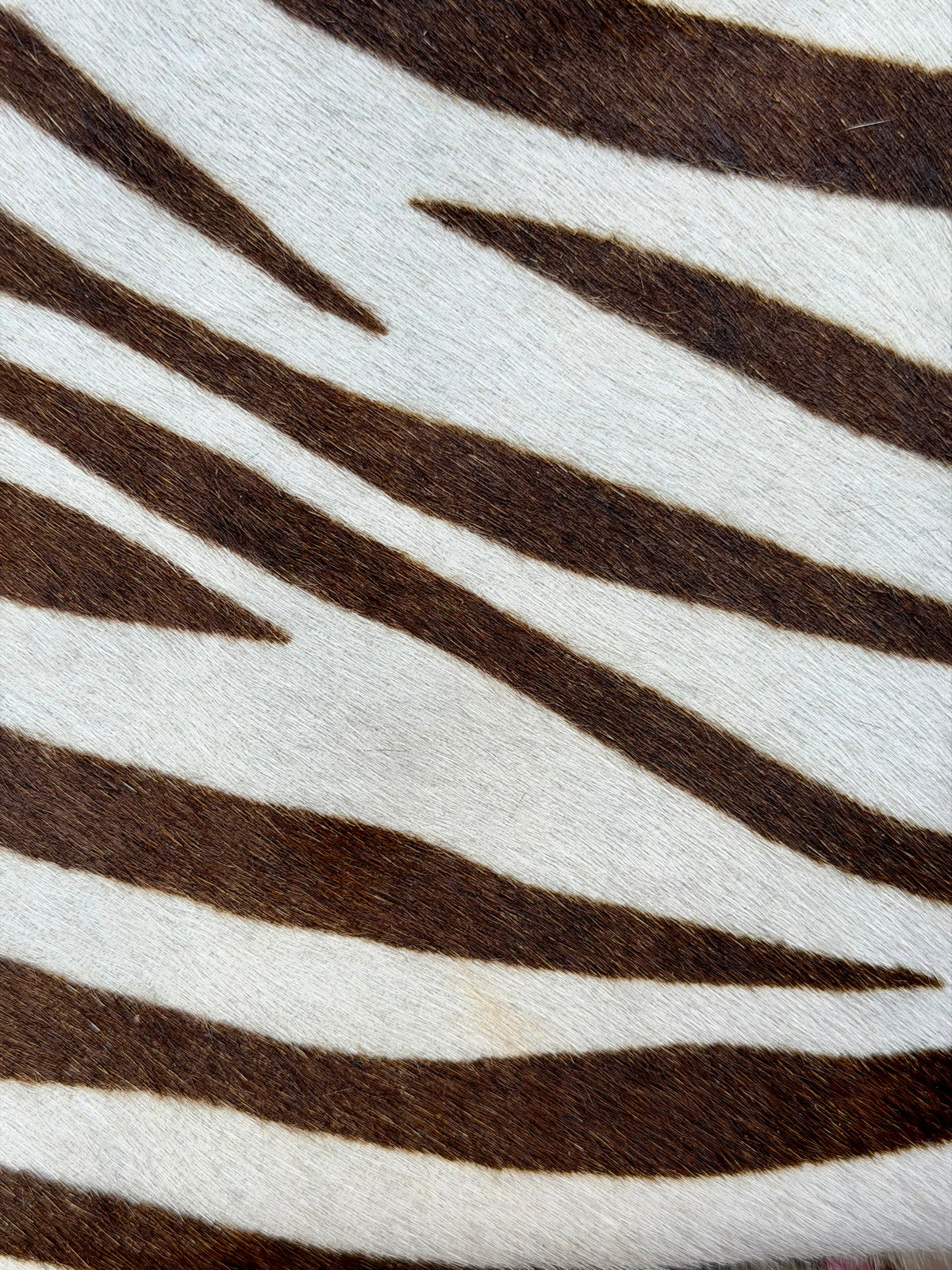 Lea Bag Brown Zebra Pony in pelle Amimi Milano
